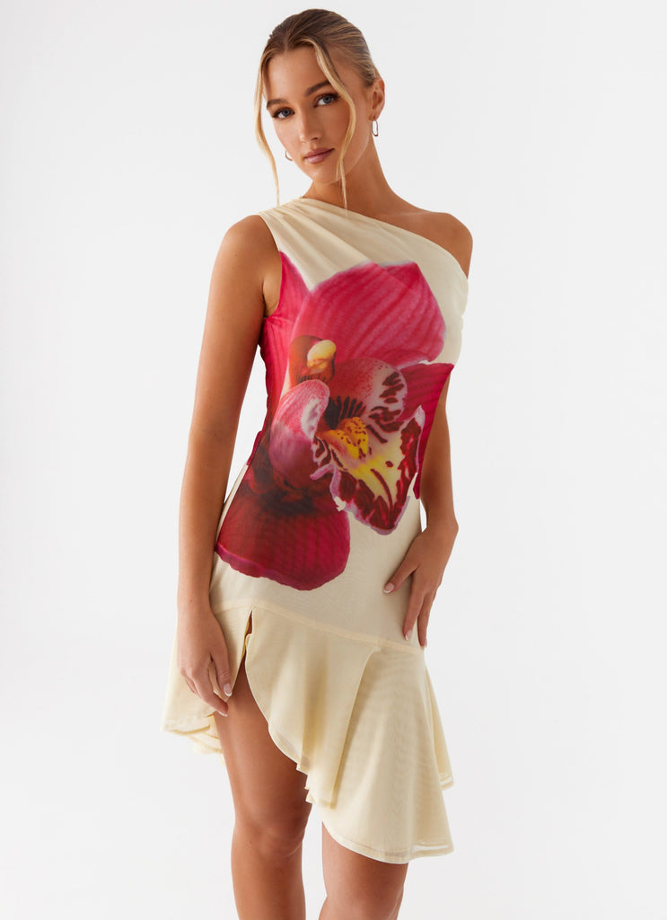 clementina mini dress For Love & Lemons Clementine Mini Dress