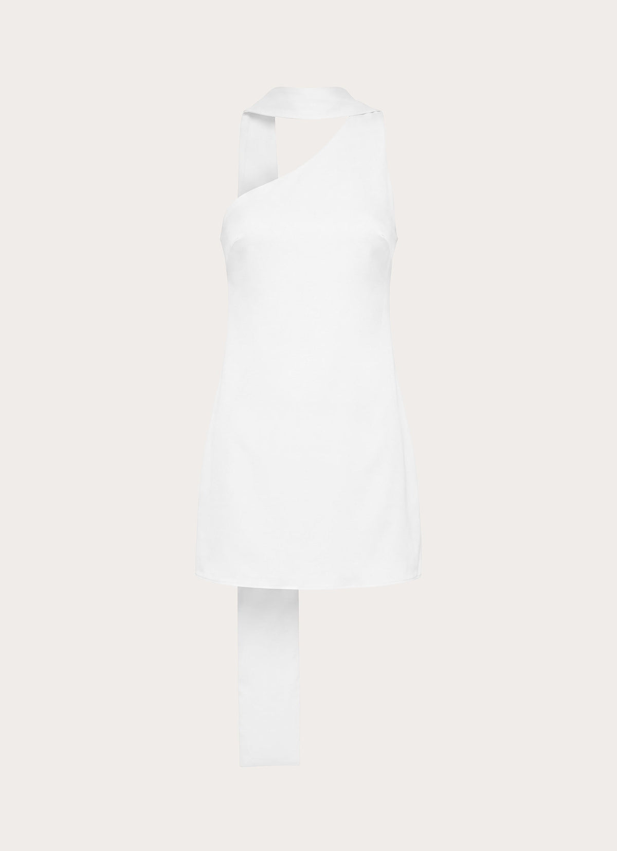 In The End Mini Dress - White