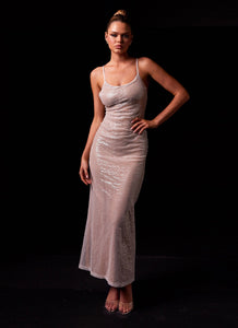 Womens Diva Darling Sequin Maxi Dress in the colour Frost in front of a light grey background