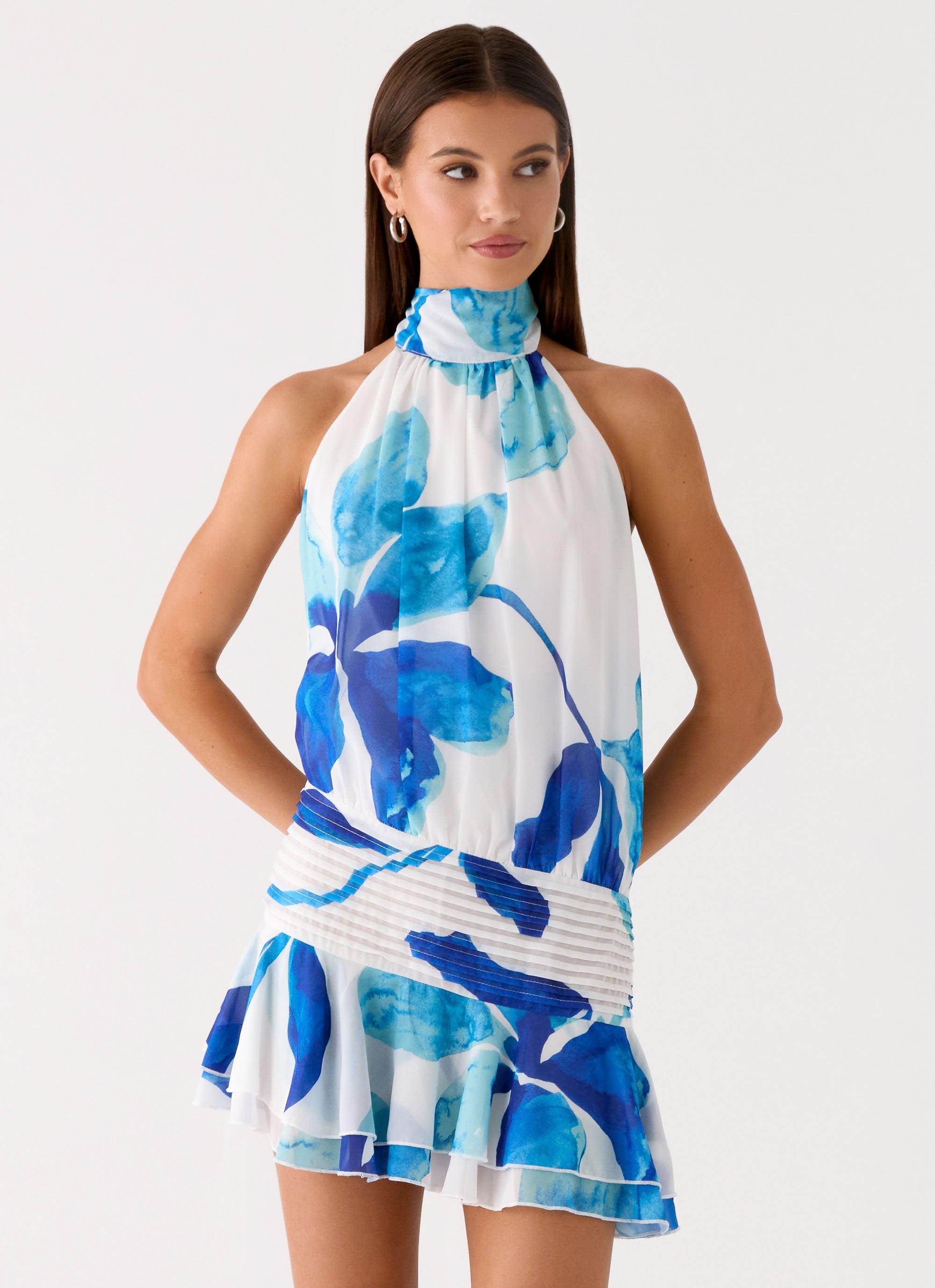Willow Chiffon Mini Dress